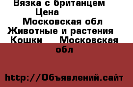 Вязка с британцем. › Цена ­ 1 500 - Московская обл. Животные и растения » Кошки   . Московская обл.